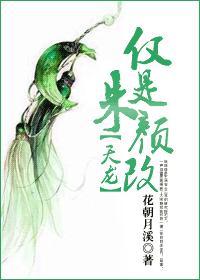 天龙八部朱朱