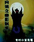 网游之幽影刺客有女主吗