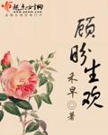 顾盼生欢大致写的什么