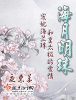 海月明珠TXT百度