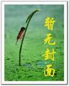 雷电奇观