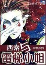 西索与电梯小姐猎人同人
