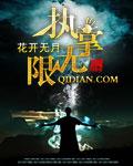 执掌无限女主有几个