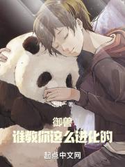 御兽进化商阅读