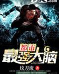 都市最强大脑安小兽