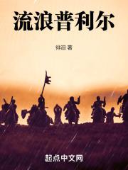 普利尔德机顶盒按4567