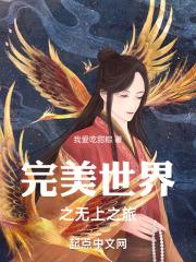 完美世界之重生之路最新章节