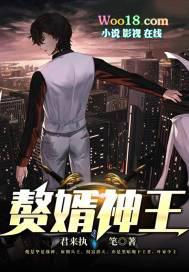 赘婿天王