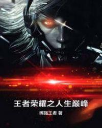 王者荣耀之人生巅峰 聚合中文网