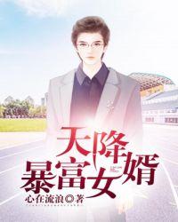 天降暴富女婿TXT免费