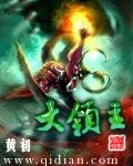 大领主全息