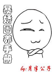 圈养暴力反派(八零)