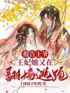 王爷他又在装傻