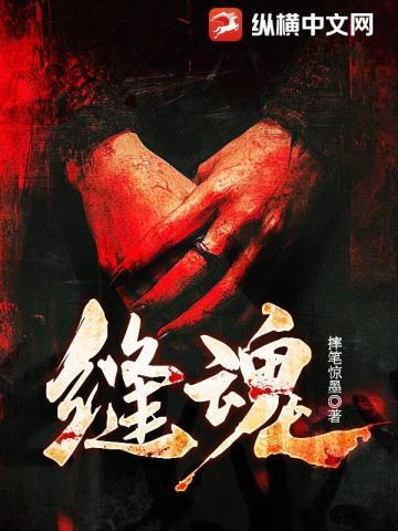 缝衣又缝魂