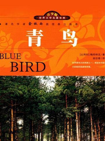 青鸟不传云外信的下一句