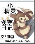 宠物小精灵之存档超人