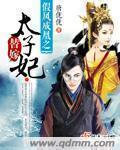 替嫁太子妃青春