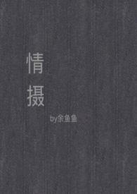 情摄全文免费笔趣阁