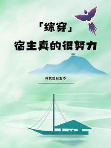 综穿之宿主