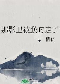 影卫那当