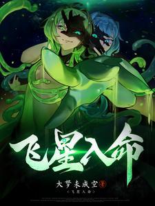 飞星入中宫是什么意思