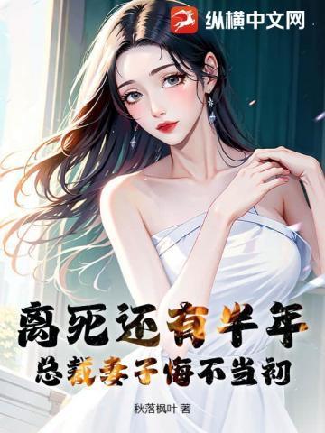 总裁老婆离开三年的