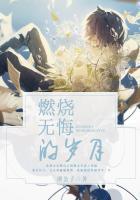 燃烧的青春岁月电视剧2
