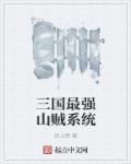 最强山贼系统笔趣阁