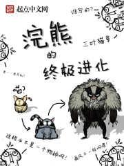 浣熊的终极进化变人了吗