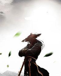 秦天医武为王