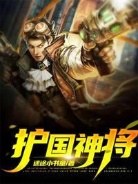 护国神将100集完全版