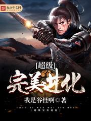 完美进化系统