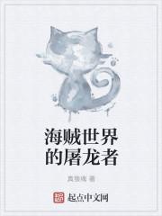 海贼世界的阴谋家