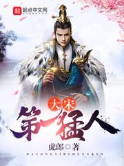 大宋第一猛人第章鸡毛掸子