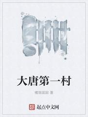 大唐第一村长有声