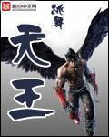 天王殿林百岁全集免费