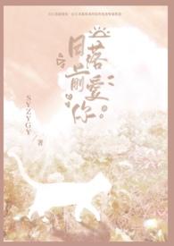 日落前说爱你是什么意思