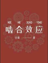 啮合效应是双洁吗
