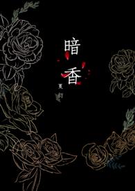 暗香来电视剧完整版免费观看